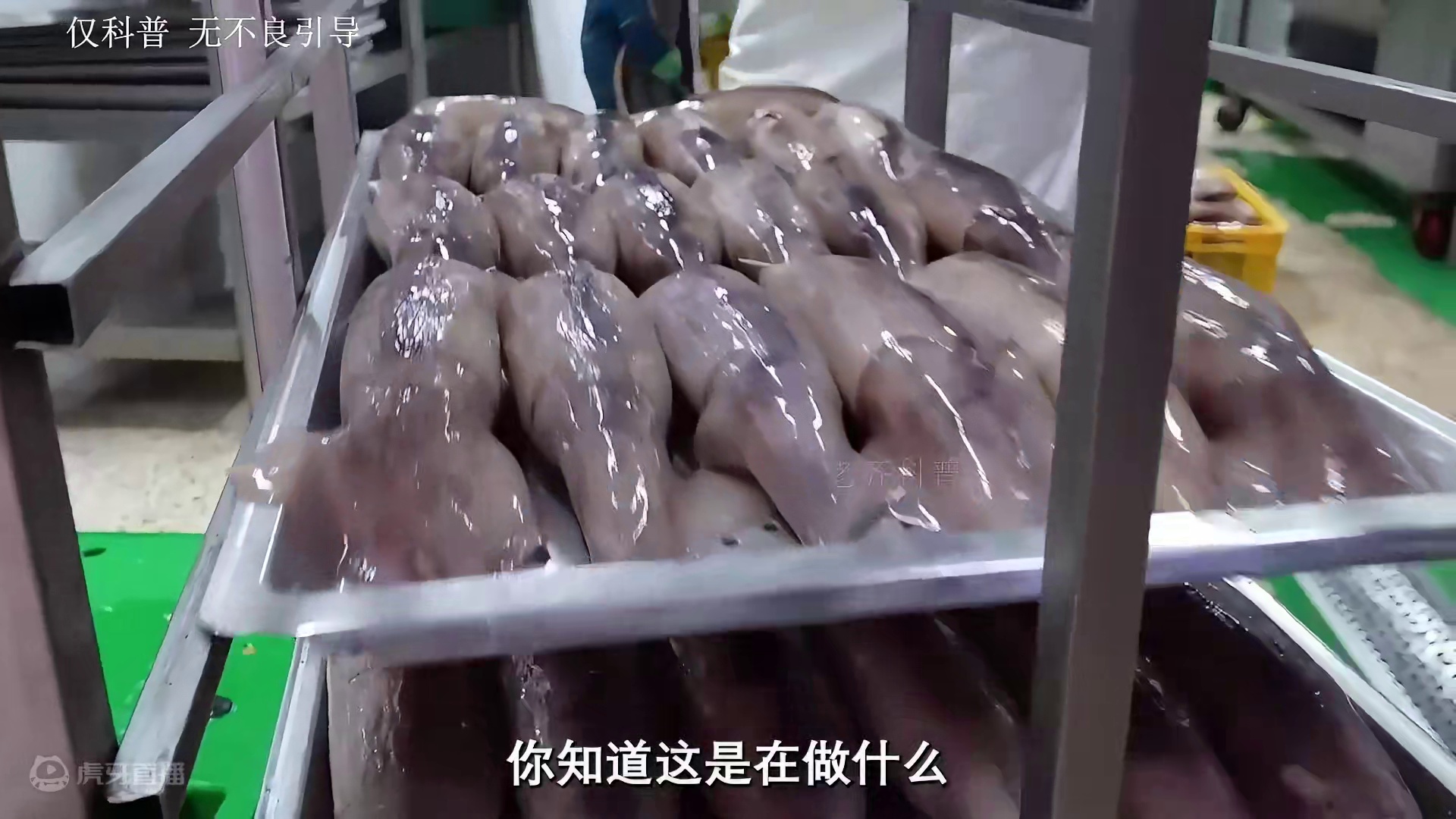 谁能想到鱿鱼仔竟然是这么制造的！！#鱿鱼 #鱿鱼仔 #海鲜 #美食 #零食推荐