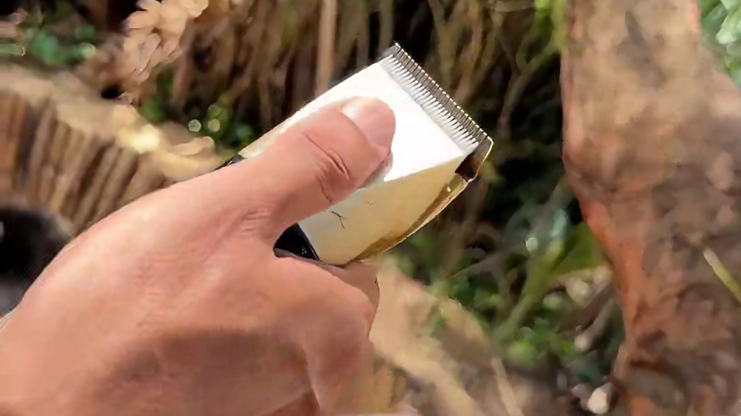 野外生存第二十七集 拾荒收集废弃物品制作超大号鱼笼#枫叶勇者计划 #冒险岛枫之传说 #冒险岛创作激励