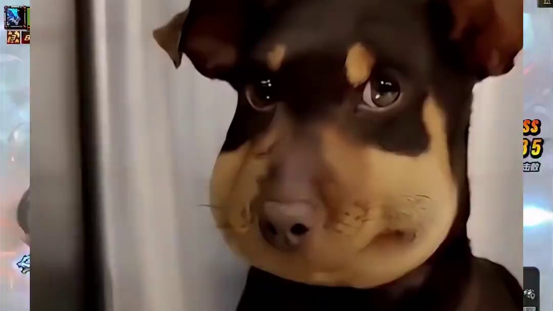 确实还挺好用的，新职业上线更新之前就看见韩服玩家有人这么用了 #dnf地下城 #dnf十六周年 #d