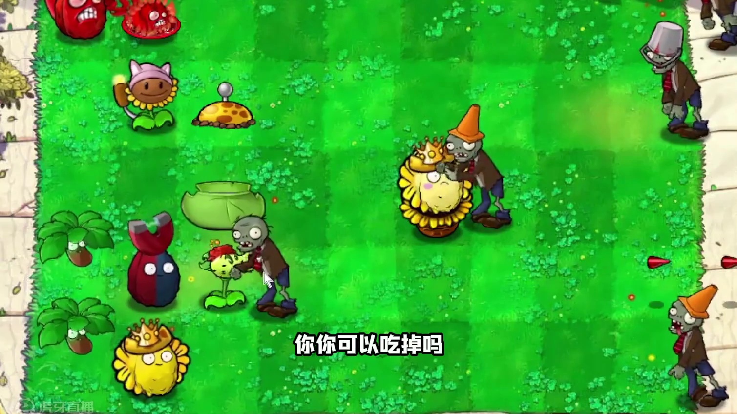 笑点过于密集了铁子 #植物大战僵尸
