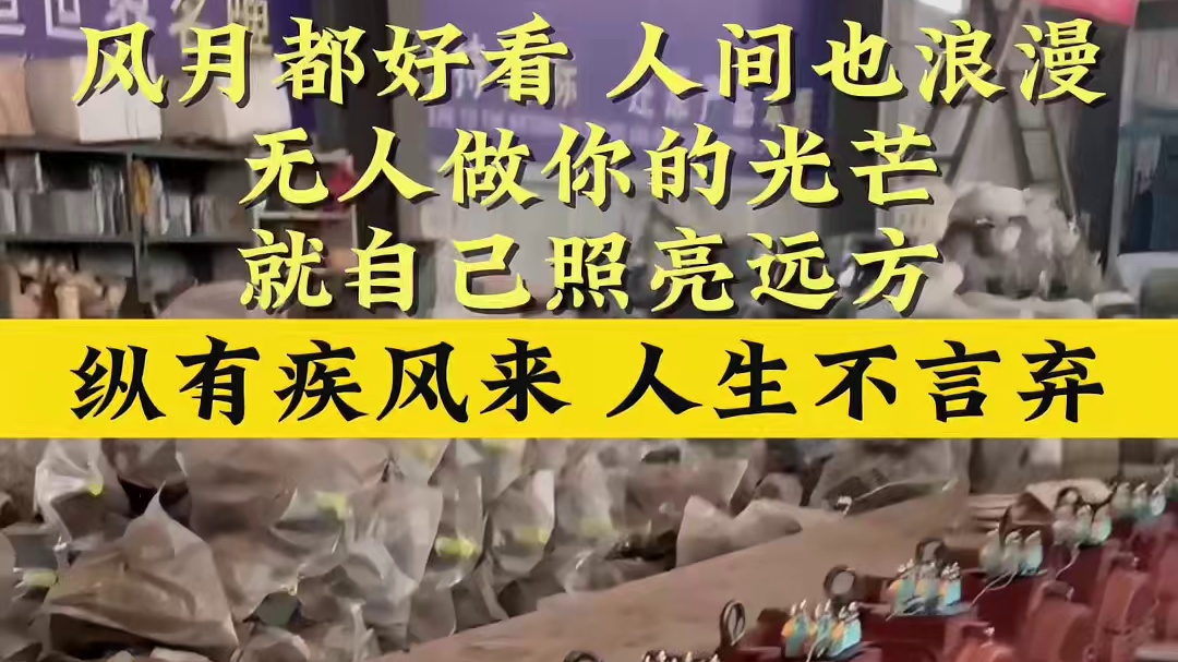 风月都好看，人间也浪漫，无人做你的光芒，就自己照亮远方。