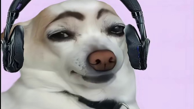 可以说万元内无对手