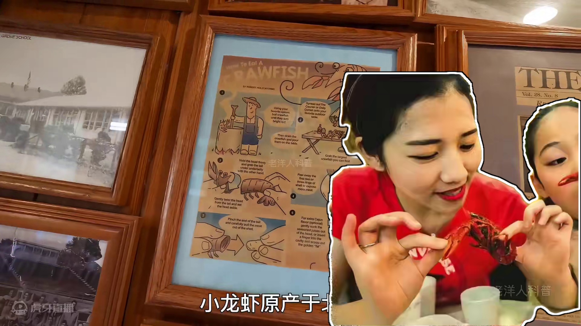 224. 盘点最丢脸的五大入侵物种，本想祸害中国，却被中国人吃到快灭绝