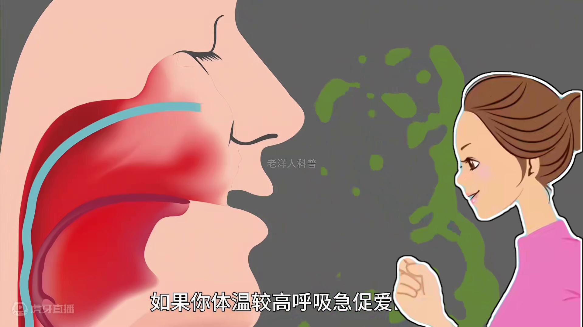 229. 你知道蚊子是怎么吸血的吗？解析蚊子叮咬全过程。