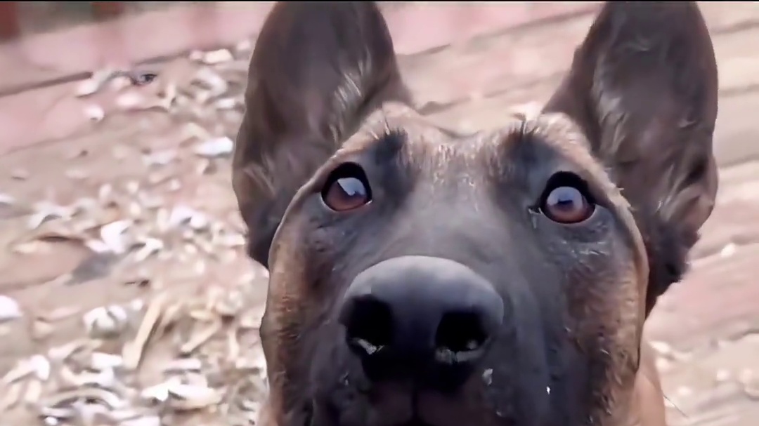 今天上班迟到了，领导竟然这样对我#微信小程序 #河南小程序开发哪家比较好 #焦作小程序开发公司 #武