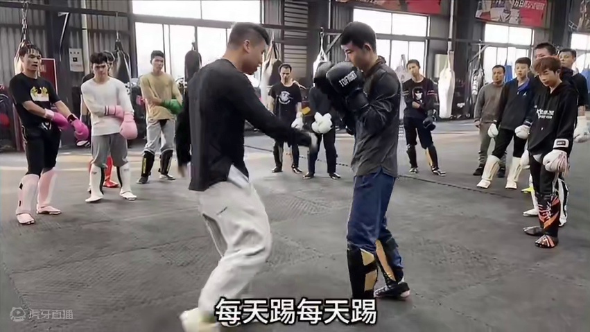 #白鲨一站式服务 职业运动员，格斗教练员，教练培训，工作安排。白鲨格斗一步到位。