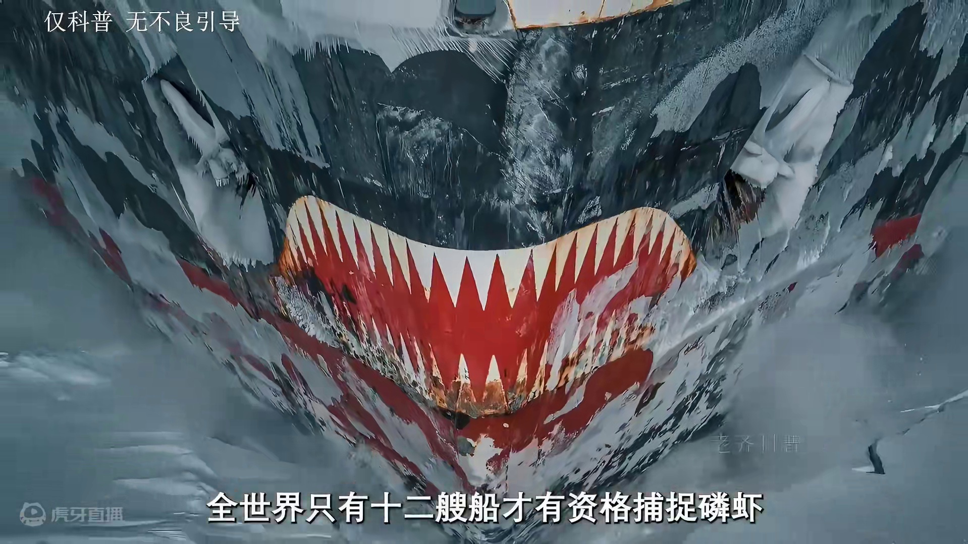 没想到南极磷虾的肉质这么鲜美#南极磷虾 #南极 #海鲜 #磷虾 #妈呀太香了