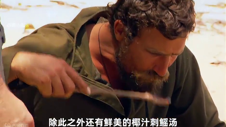 厨子与猎人挑战荒岛生存，公石斑顿母澳龙，椰子汁顿赤红汤 #荒野求生 #野外生存 #户外