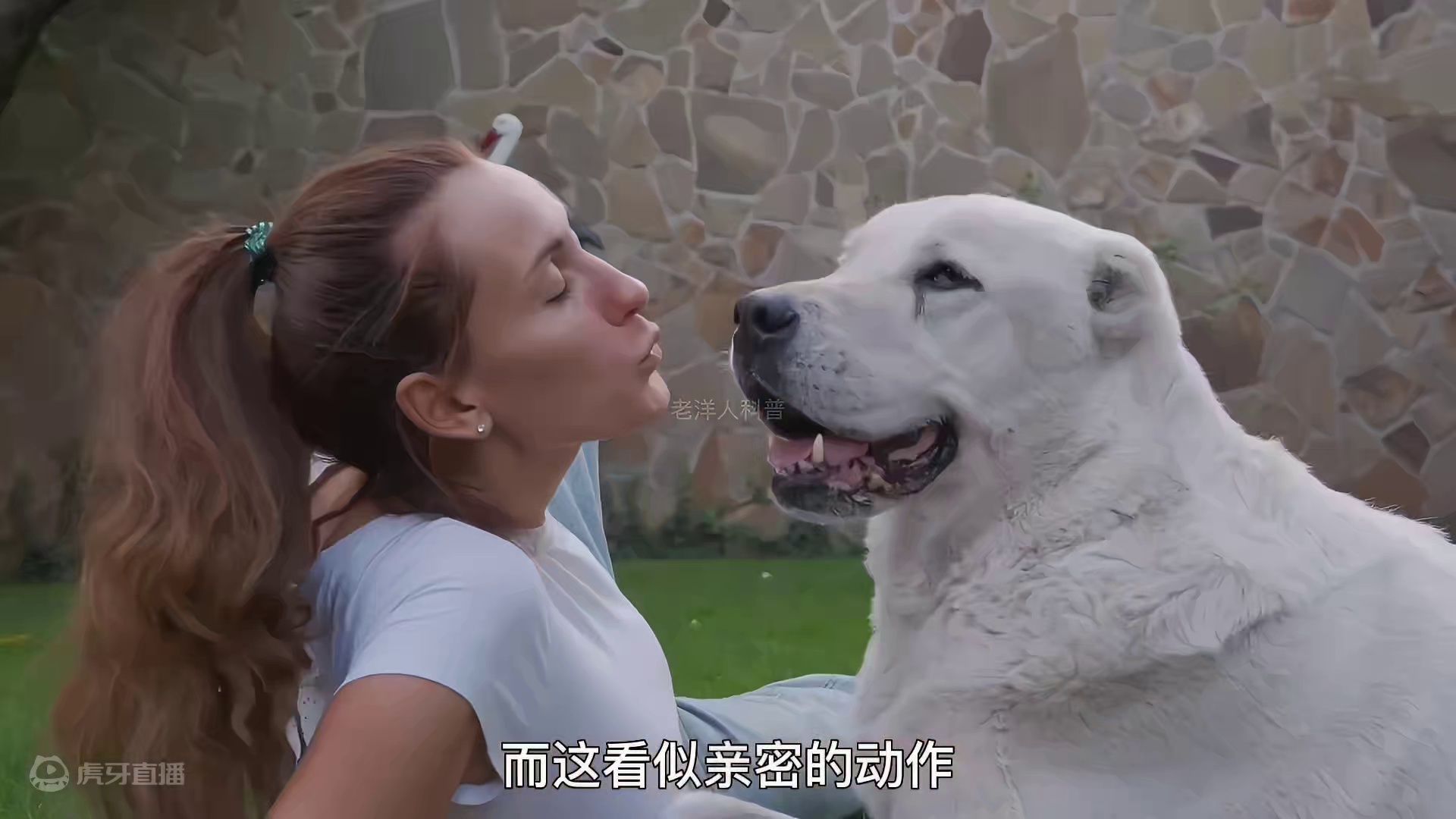 266. 被自己养的宠物舔到伤口，竟然惨遭截肢？