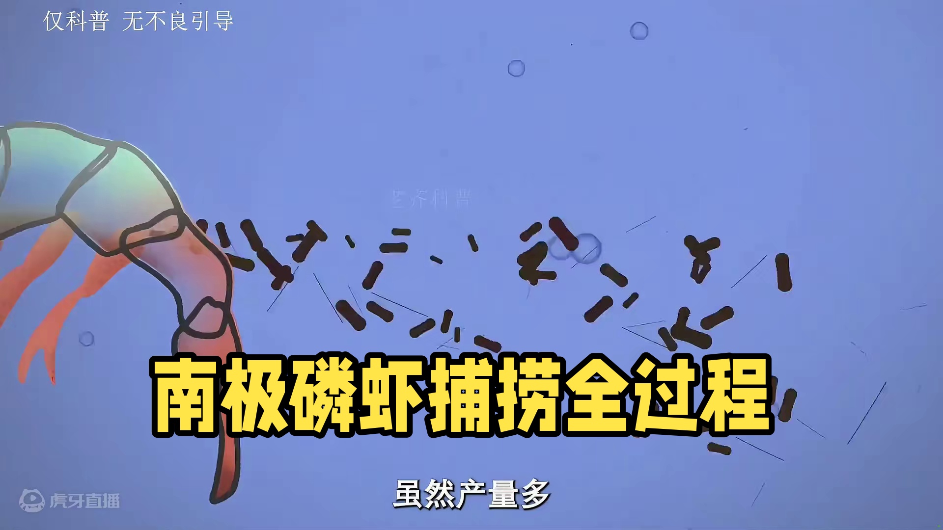 你吃过南极磷虾吗#南极 #南极磷虾 #海鲜 #妈呀太香了 #捕捞过程