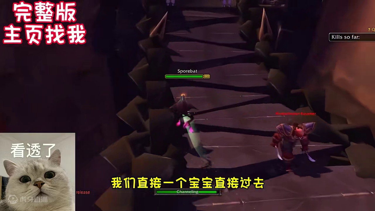 巫妖王猎人 单刷城墙 满屏布 每小时999G #魔兽世界 #猪秀天 