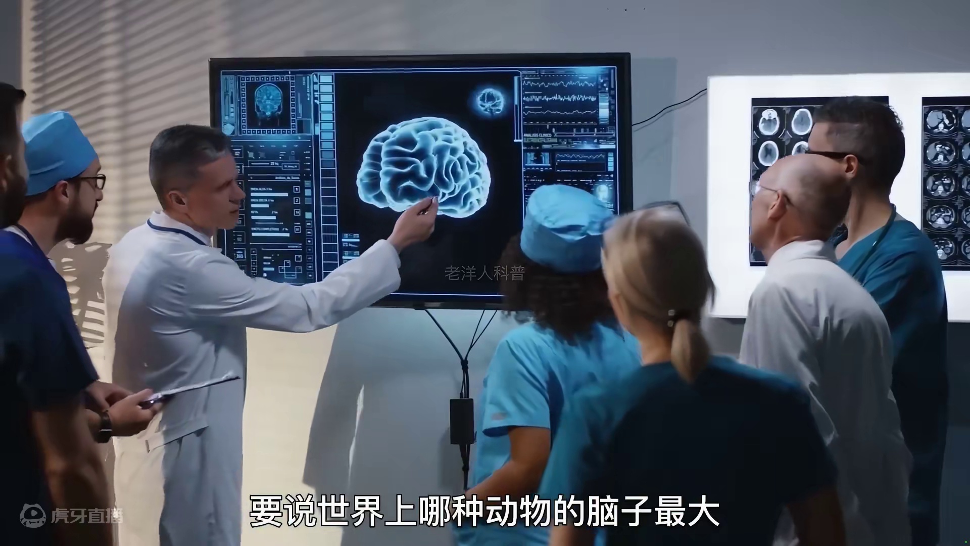 298. 一颗心脏竟重达500斤，盘点五种最大的动物器官。