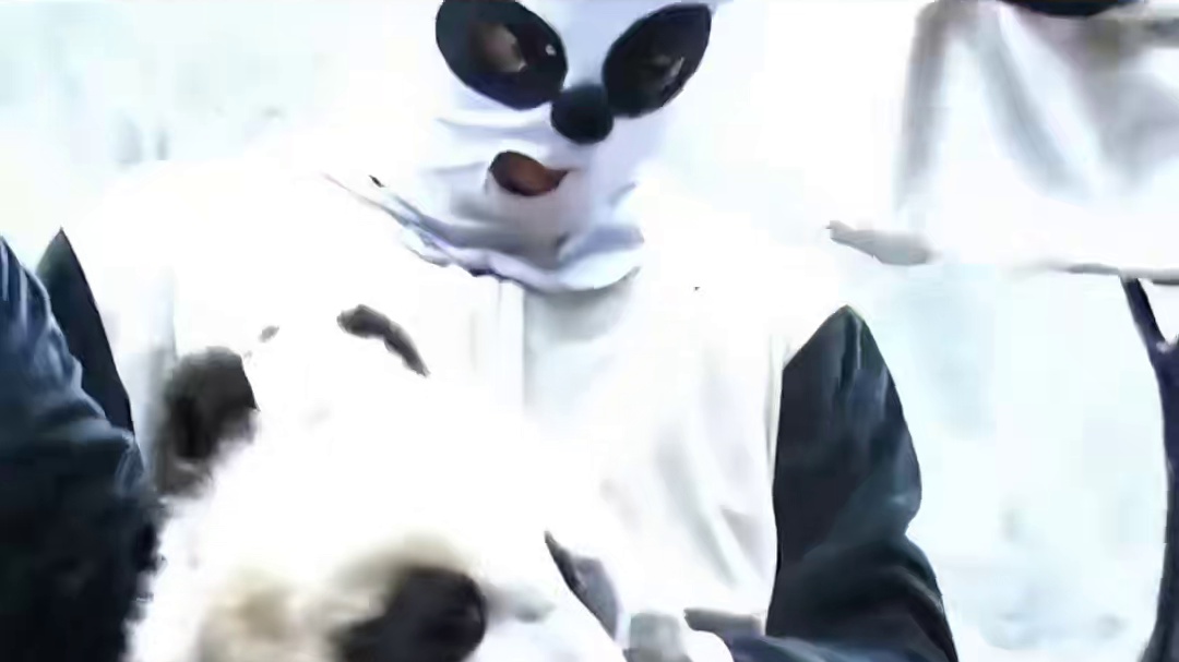 淘淘：我跟你讲我小时候见过鬼 ！ #熊猫 #淘淘 #娱乐评论大赏