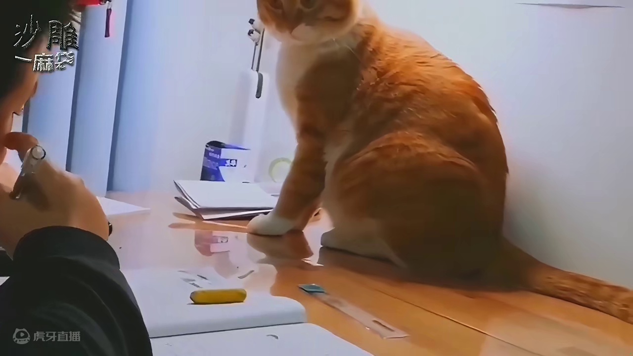 373. 沙雕合集搞笑配音：自从俺家养了这只猫，俺儿的学习明显提高啊！