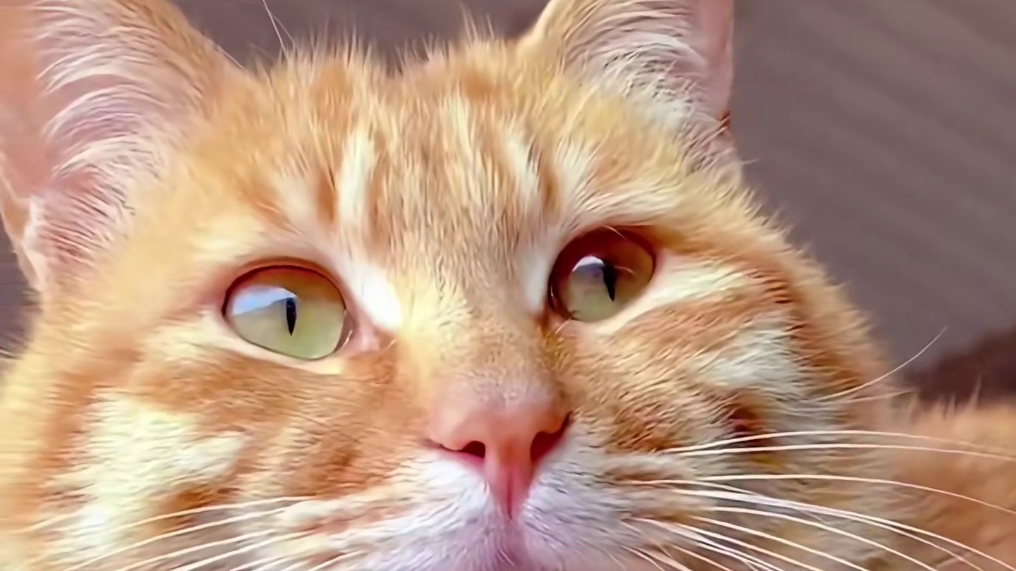 这一刻，所有的电影情节都弱爆了