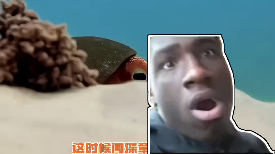 企鹅：不是哥们？你？？？ #娱乐评论大赏 #动物的迷惑行为