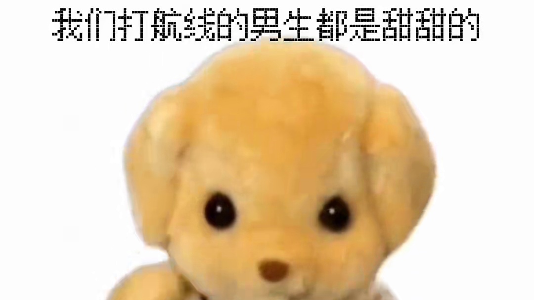 我们热血韩信玩家是这样的#可爱 #森贝儿小狗 #航海王热血航线