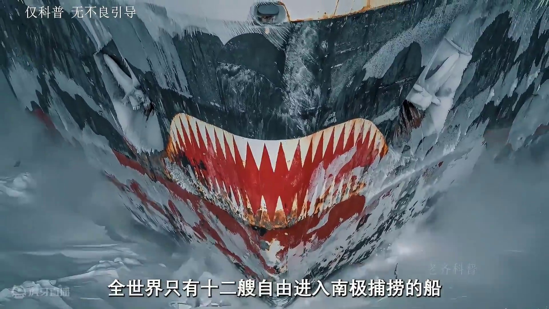 磷虾肉质紧实，做馄饨，炒菜，煲汤都可以#磷虾 #南极 #海鲜 #制作过程 #科普