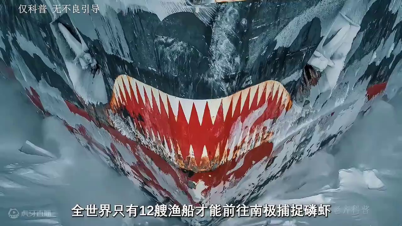 南极磷虾原来真的是在南极，第一次吃的时候它的口味真的惊艳到我了#南极磷虾 #南极捕捞 #磷虾 #磷虾