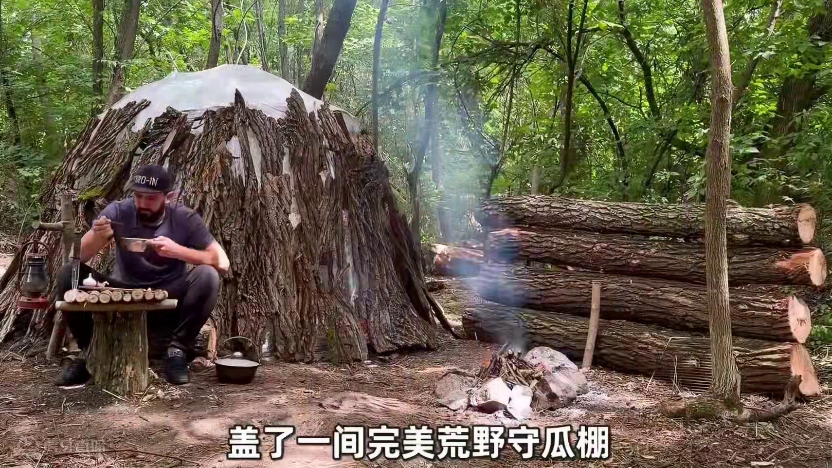 原来在野外盖庇护所还能这样玩#野外建造 #庇护所建造 #荒野求生