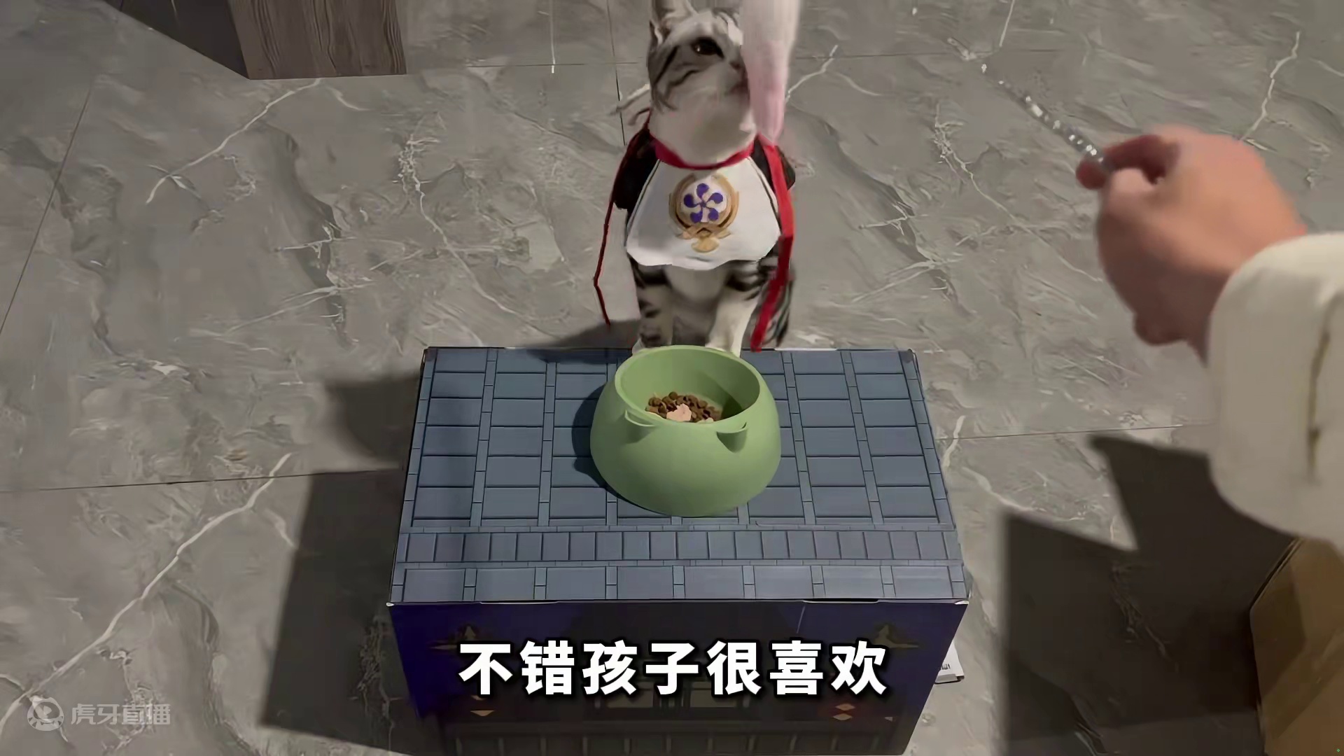 59. 网易天成原神联动礼盒开箱