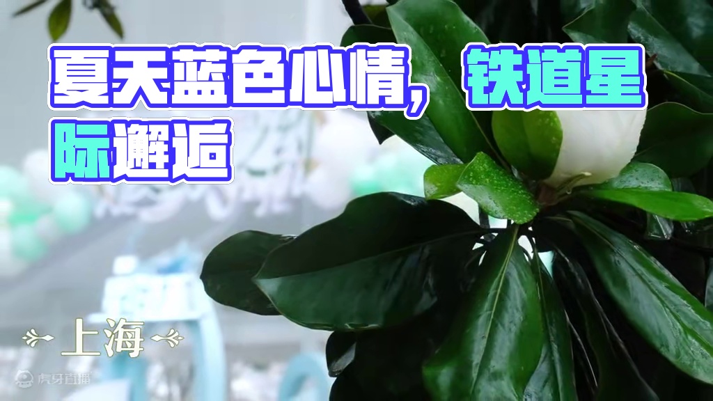 「仲夏萤火之约」流萤夏日邀约活动现场回顾 穿过风雨，遇见夏天。
开拓者，下次再见帕！
#崩坏星穹铁道