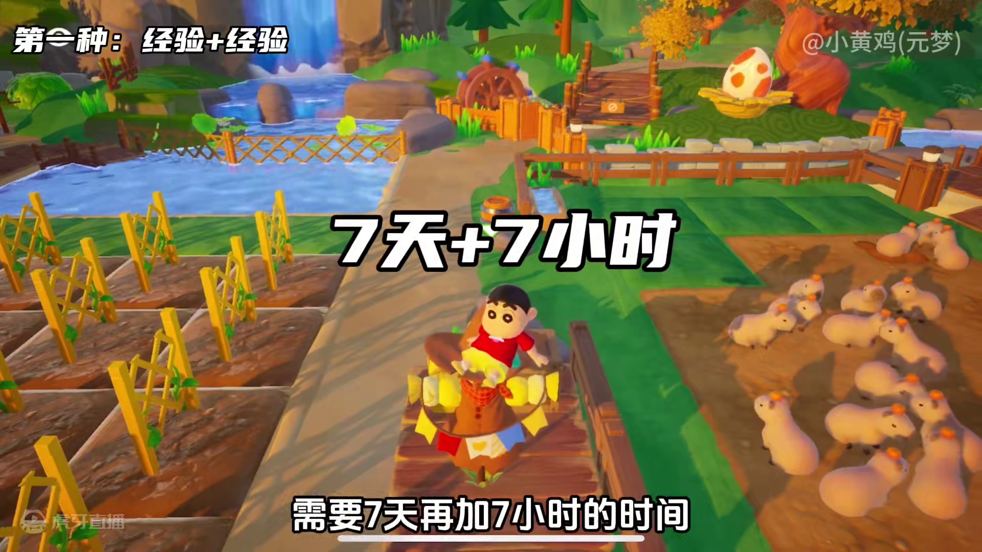 58到61级升级攻略，58级黄百合到底谁要种？ #元梦偷菜好上头 #元梦之星 #元梦之星缤纷夏日赛季