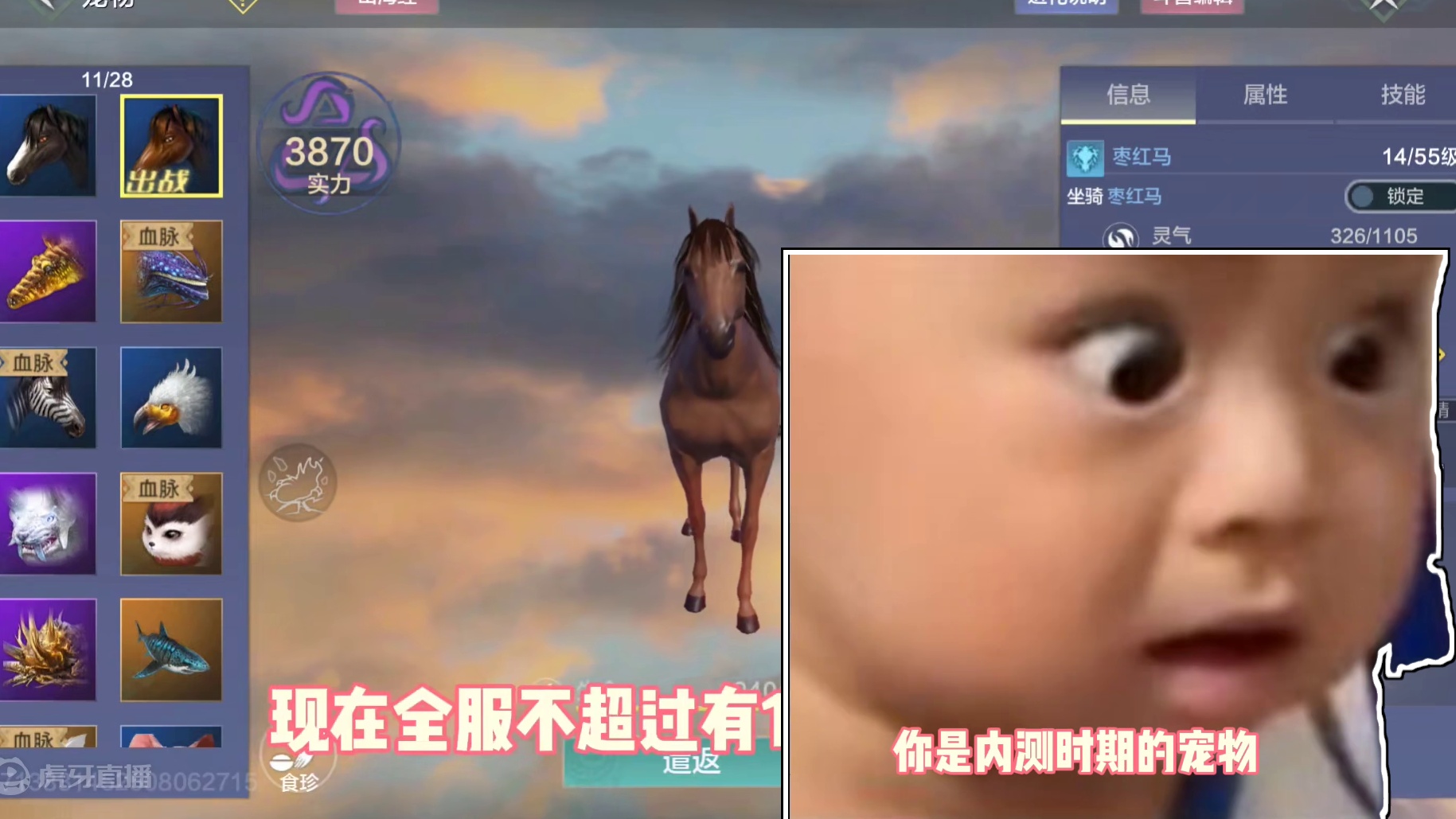 山海绝版内测宠物，全服不超过有十名玩家拥有，龙吟内测枣红马 #妄想山海 #游戏日常