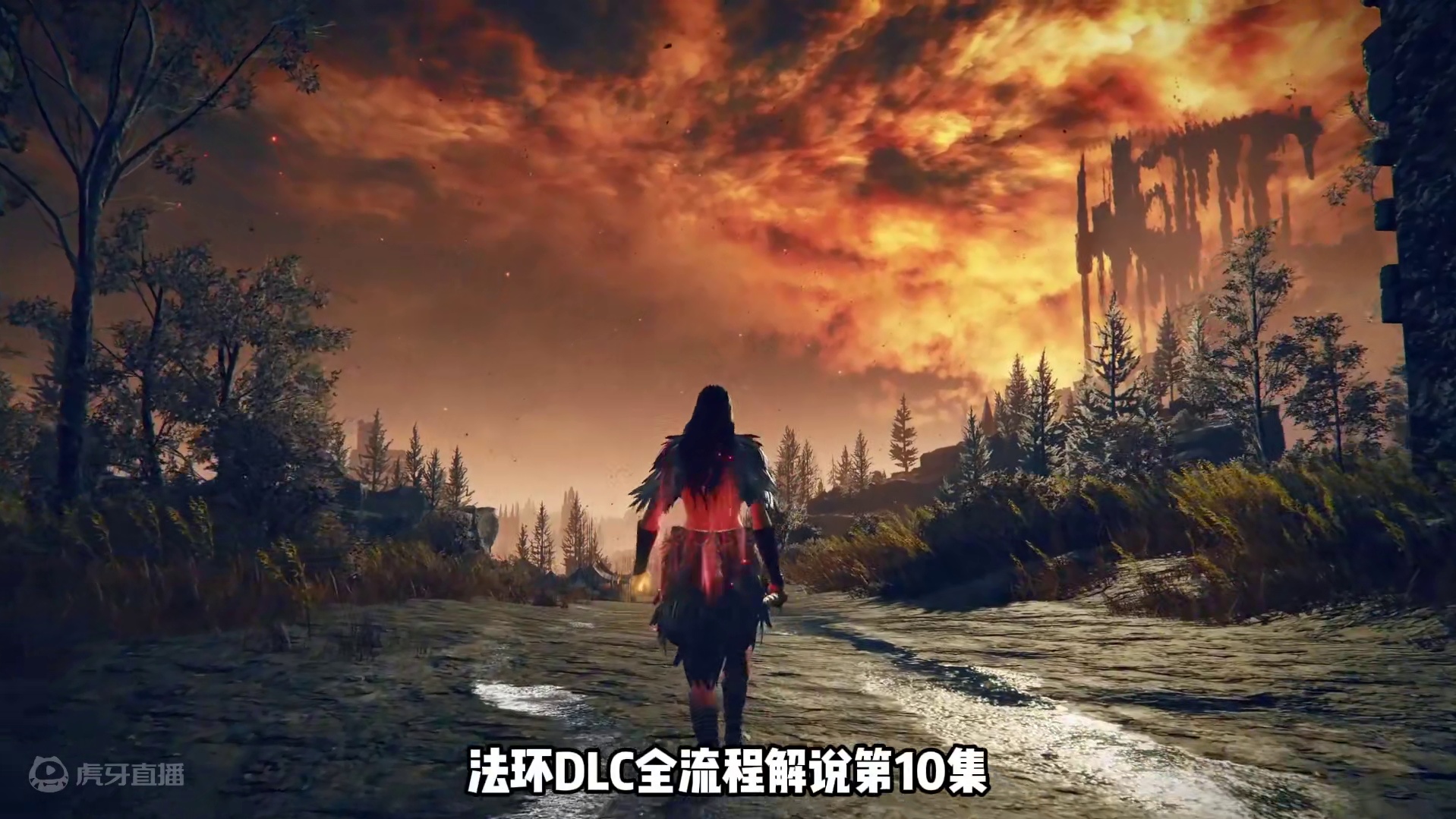 艾尔登法环《黄金树幽影DLC》全流程全收集攻略10 #艾尔登法环 #艾尔登法环DLC #还得是主机大