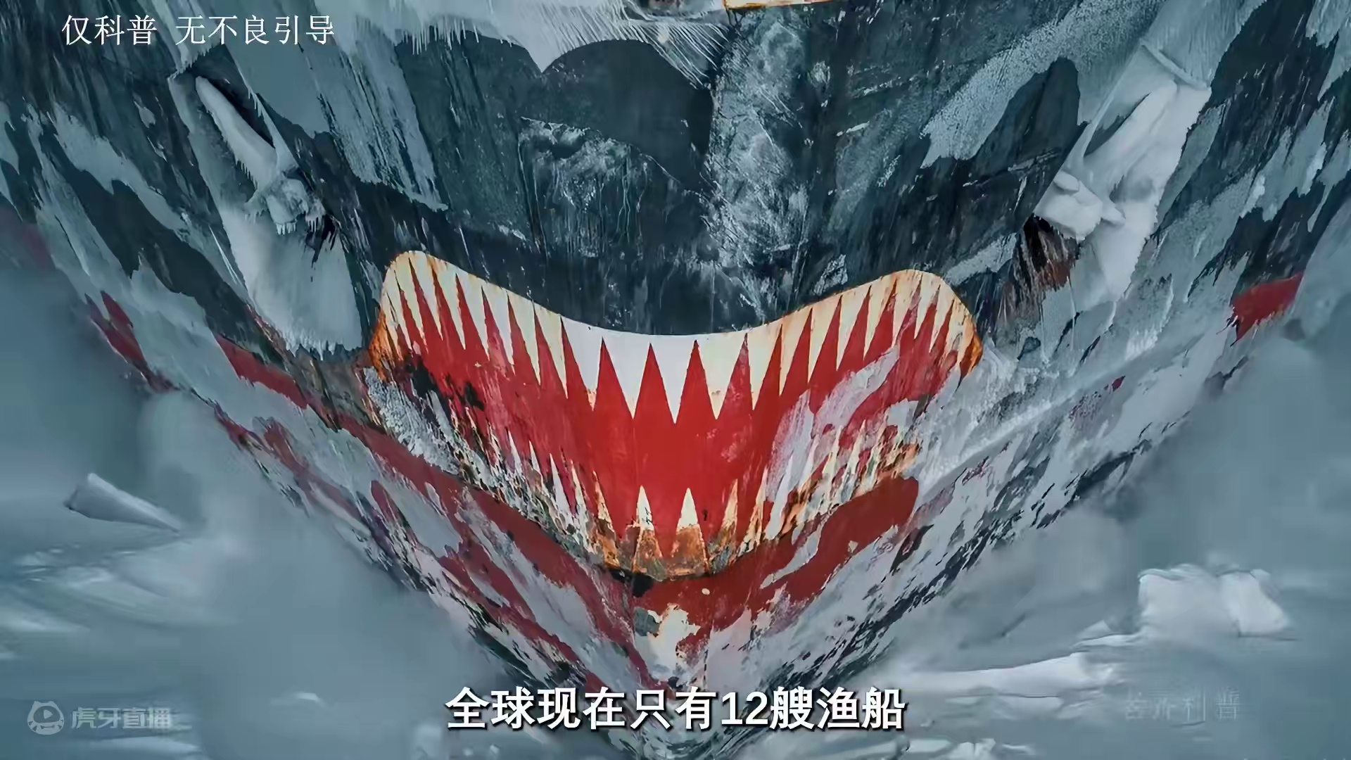 世界上做庞大的生物群体--南极磷虾#海洋生物 #南极 #科普 #捕捞过程 ##磷虾