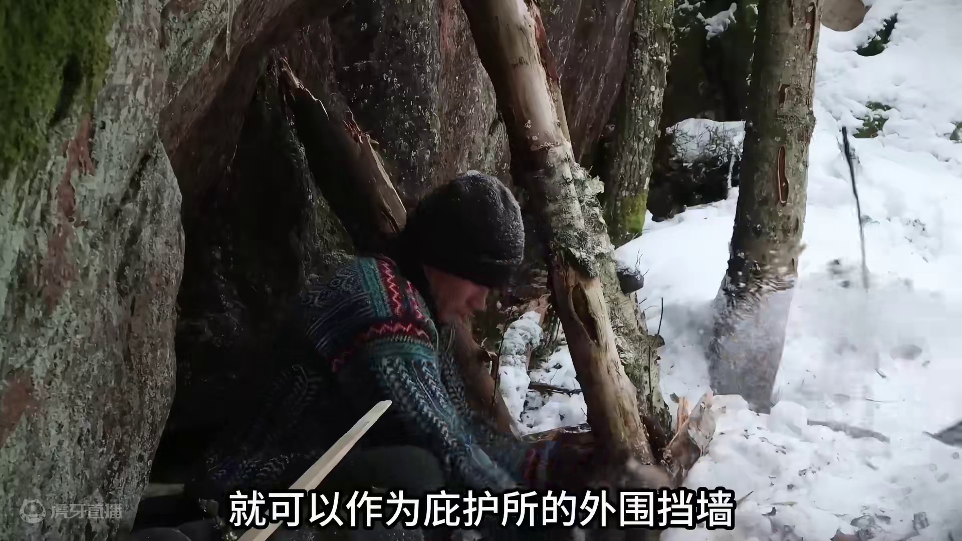 小哥搭建简易庇护所过夜 #雪天露营 #庇护所 #野外露营