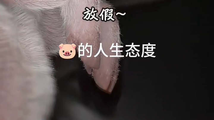 点个关注不迷路