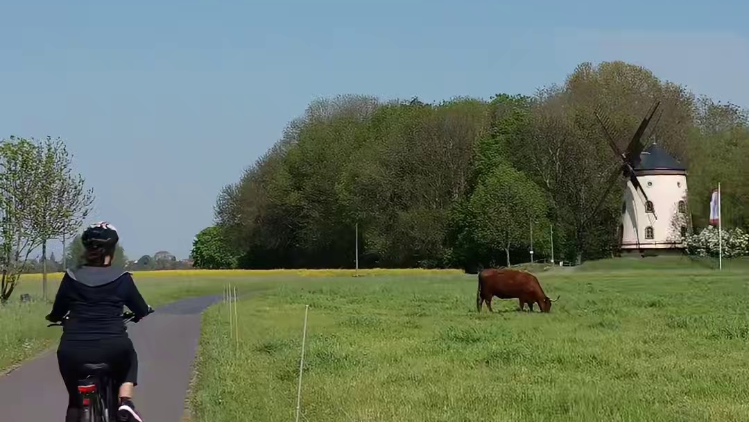 耶茨兄弟 从队友到对手 整齐划一的“摇车”节奏，心有灵犀的默契配合
难分难辩的帅气外表，他们是一母同
