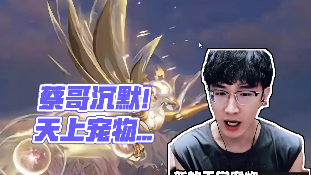 什么事让蔡哥沉默不语？ 