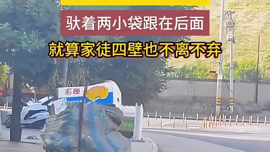 俗语说的好，狗不嫌家贫