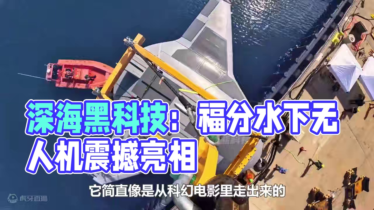 深海黑科技：蝠鲼水下无人机有多厉害？ #水下无人机#科技#前沿科技