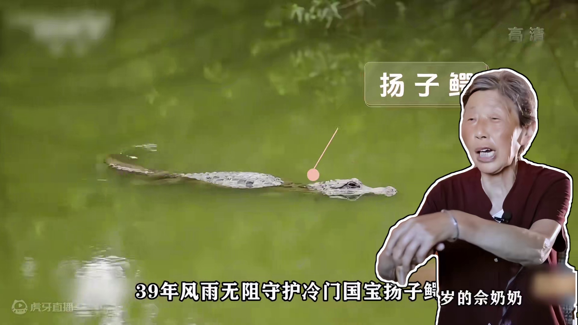 这才是改造，设计师爆改农村土屋，成了村里最靓的宅#室内设计 #装修 #改造前vs改造后