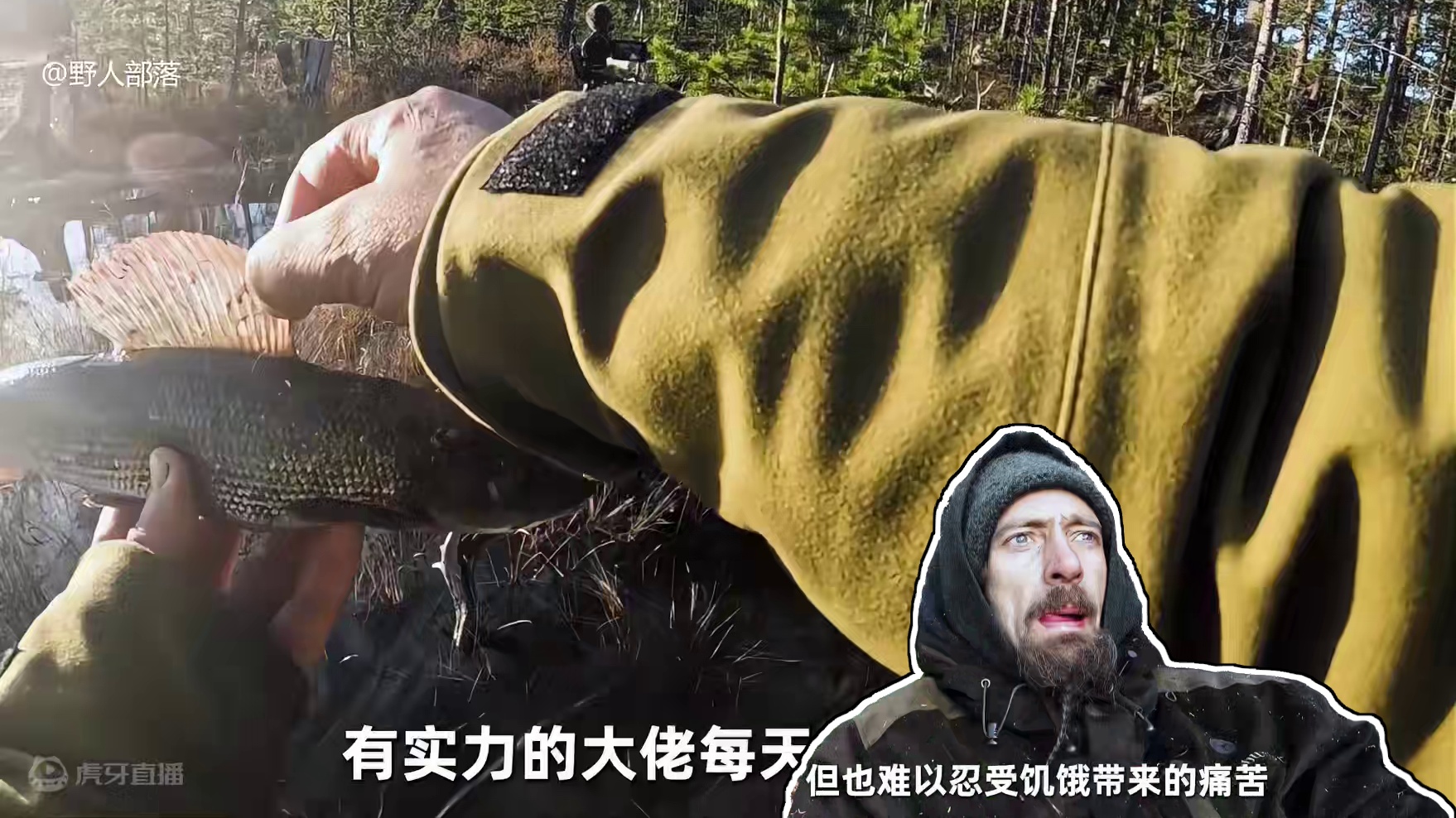 7人北极荒野求生，大佬们每天一条梭子鱼，实在不行靠吃树皮充饥 #荒野求生 #野外生存 #户外