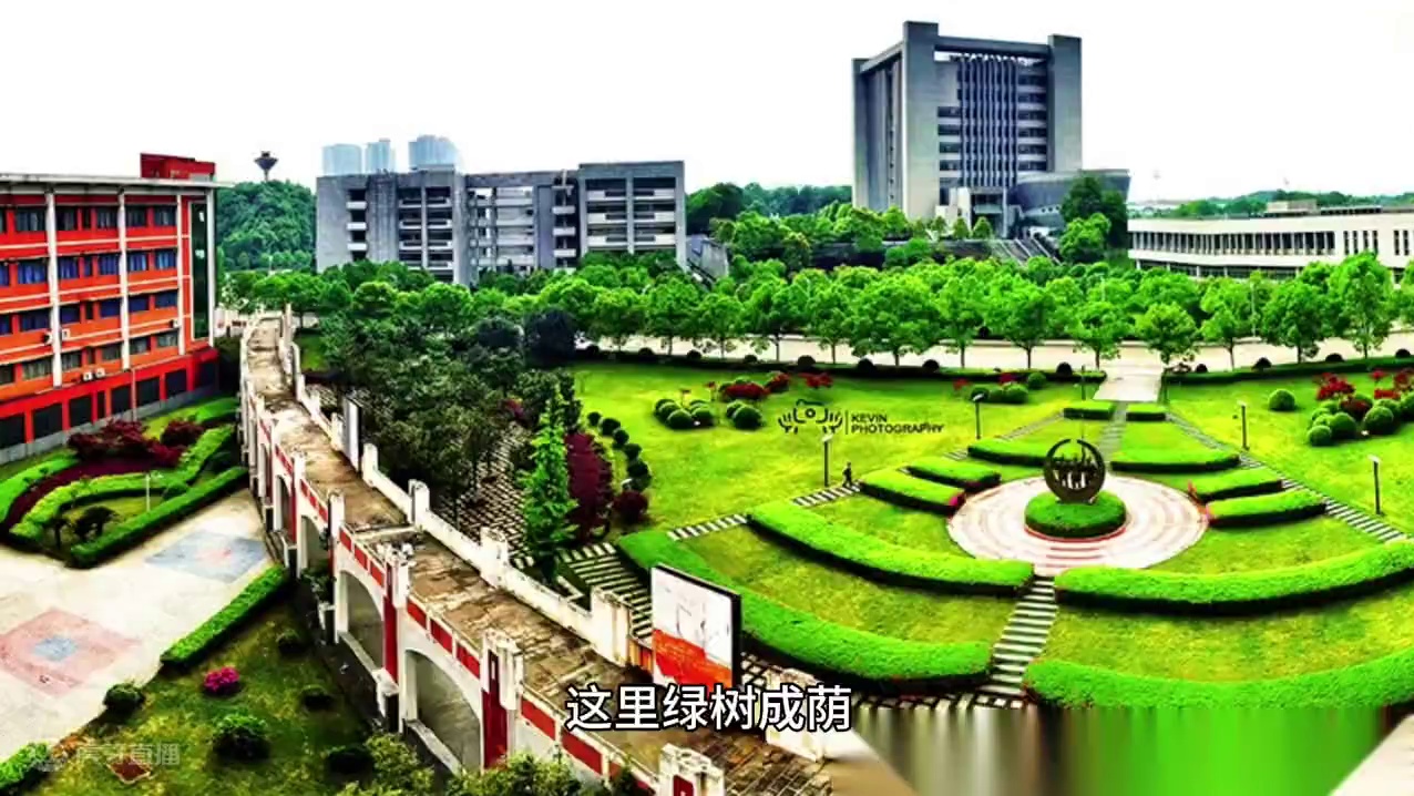 #知识改变命运 #大学 #2024高考 #金榜题名 #高考