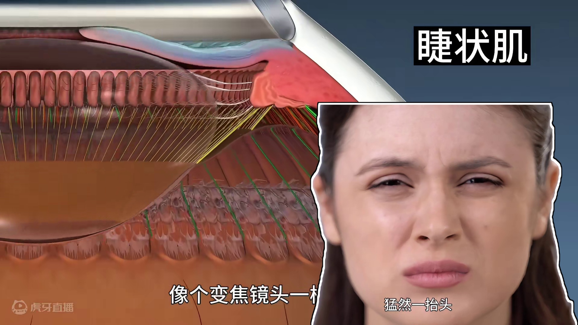 4. 眼睛突然一下模糊究竟是怎么回事？