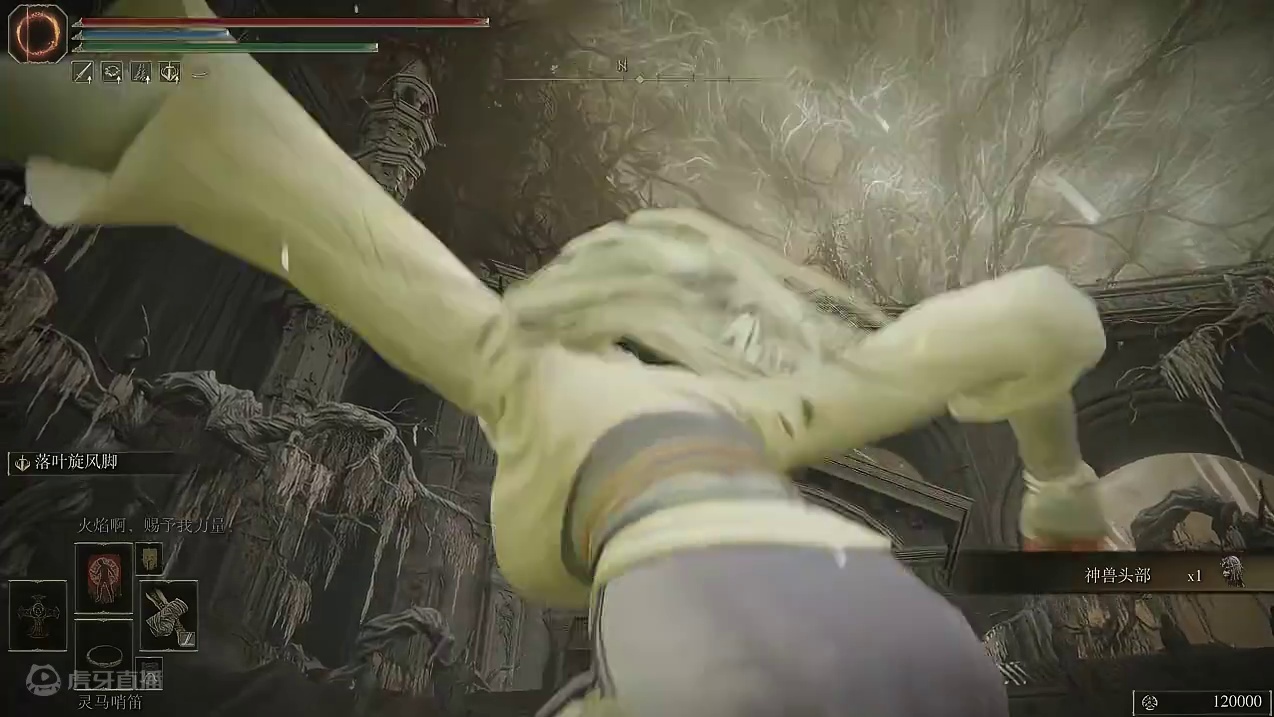 中国功夫大战中国舞狮！满满的中国元素！ #艾尔登法环 #艾尔登法环dlc #黄金树之影 #艾尔登法环