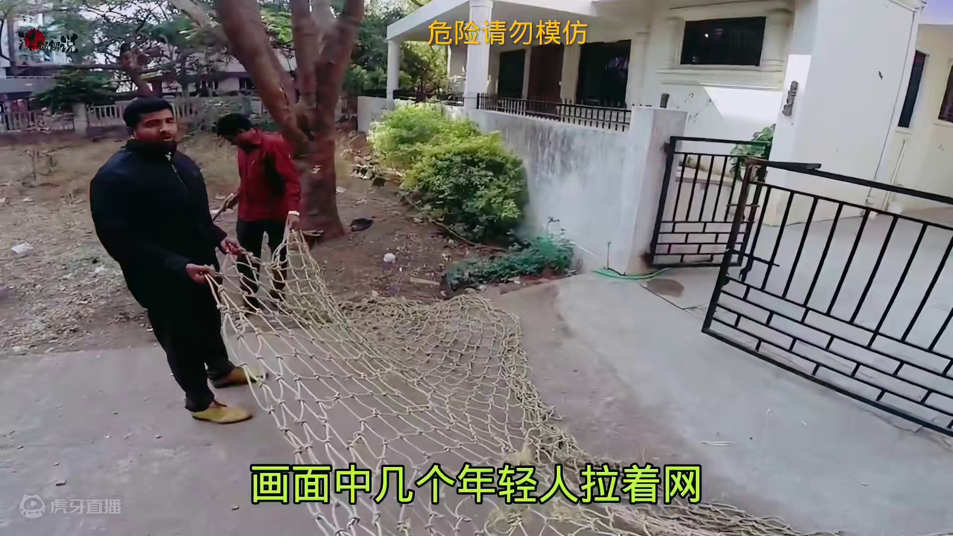 抓捕伤人的打工豹