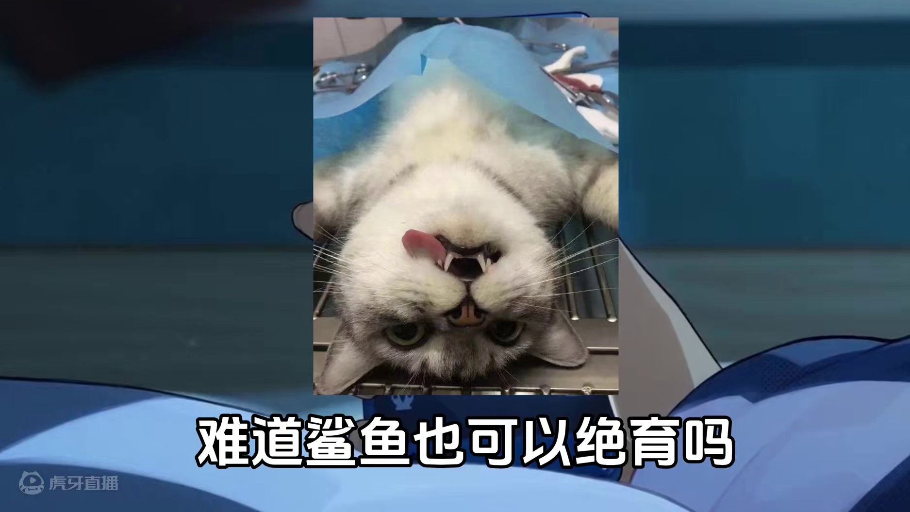 鲨鱼妹艾莲的PV，都有哪些奇怪又熟悉的设定？ #绝区零公测 #绝区零 #绝区0周年庆 #艾莲乔 #p