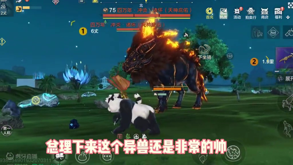 大贝大贝这里是大贝，最新异兽实录它来了，分别有万年狸力、四万年诸怀、举夫、矛隼，大贝太可爱啦#妄想山