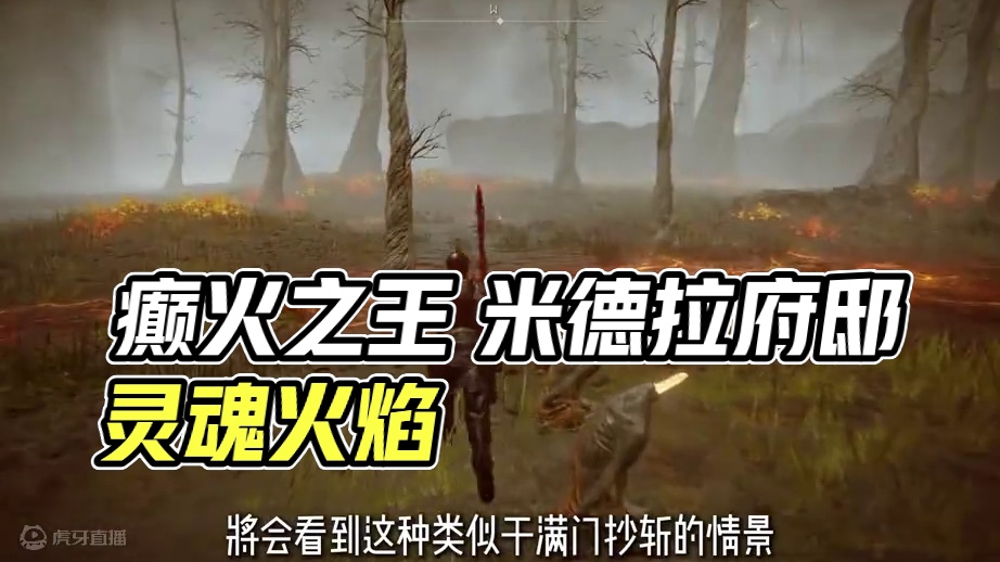 你是癫火之王！？那我是谁？ #艾尔登法环dlc #还得是主机大作  #游戏内容风向标  #单机游戏 
