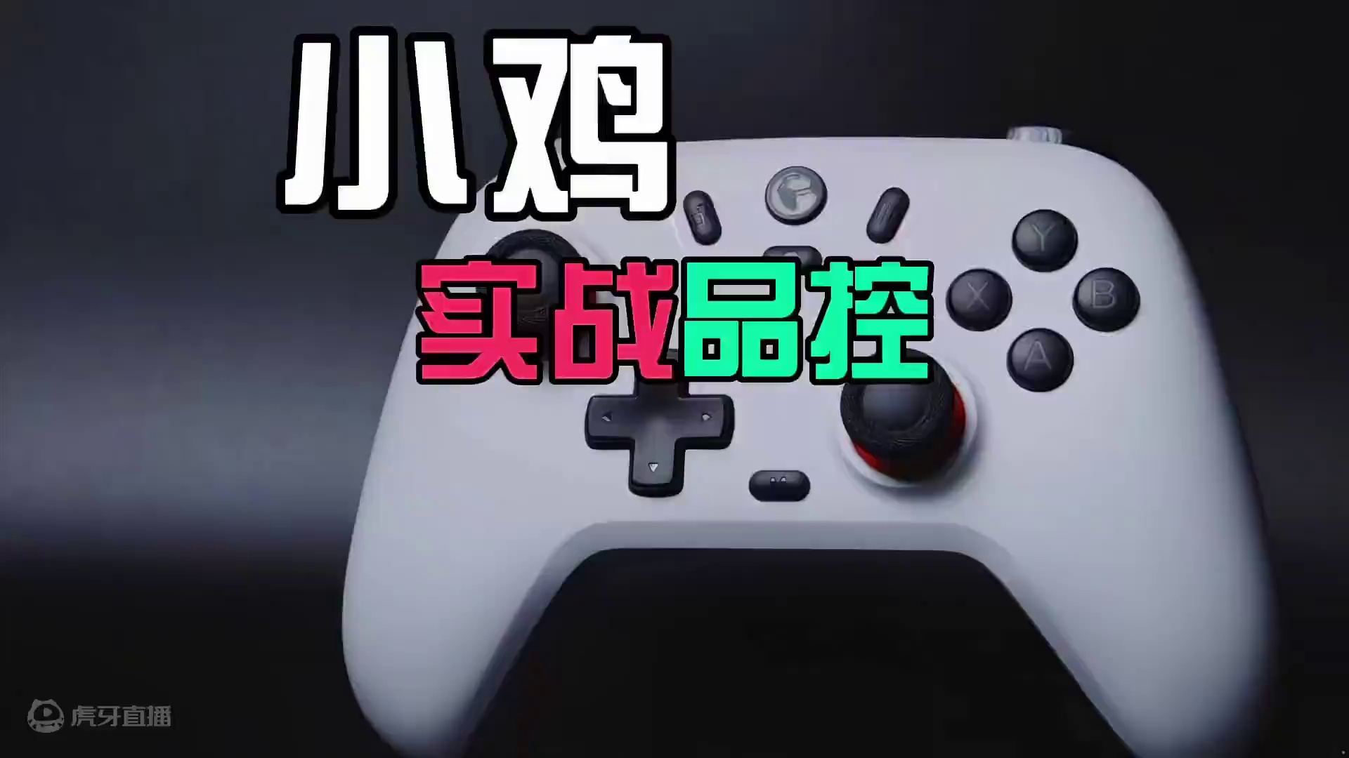 对于赛车游戏玩家来说，车速才是检验手柄好坏的唯一标准#地平线5 #游戏手柄 #盖世小鸡启明星 #小鸡