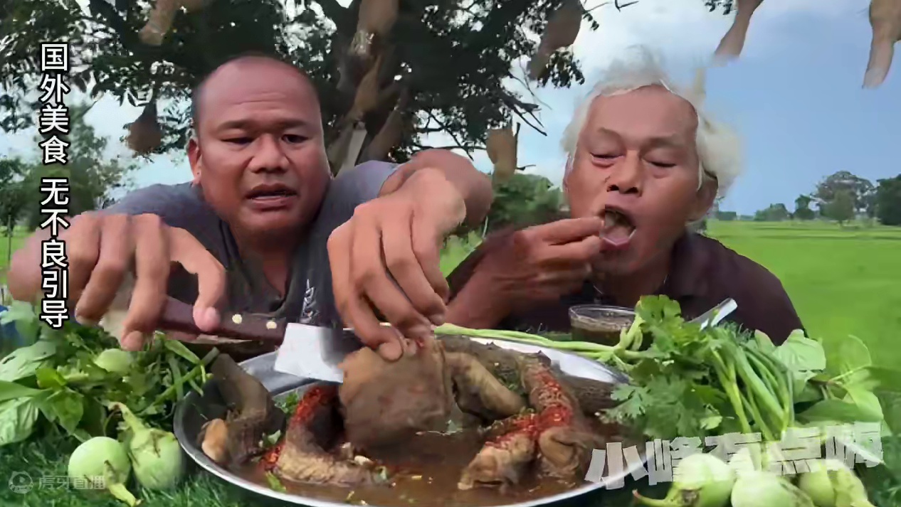 肥美的牛肚，老马跟老丈人满嘴流油 #户外美食 #咀嚼音解压 #咀嚼声 #我要上热门