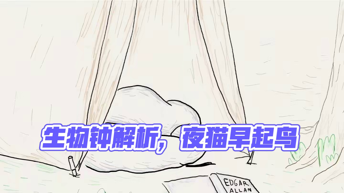 如何更改生活作息（生物钟原理解析）