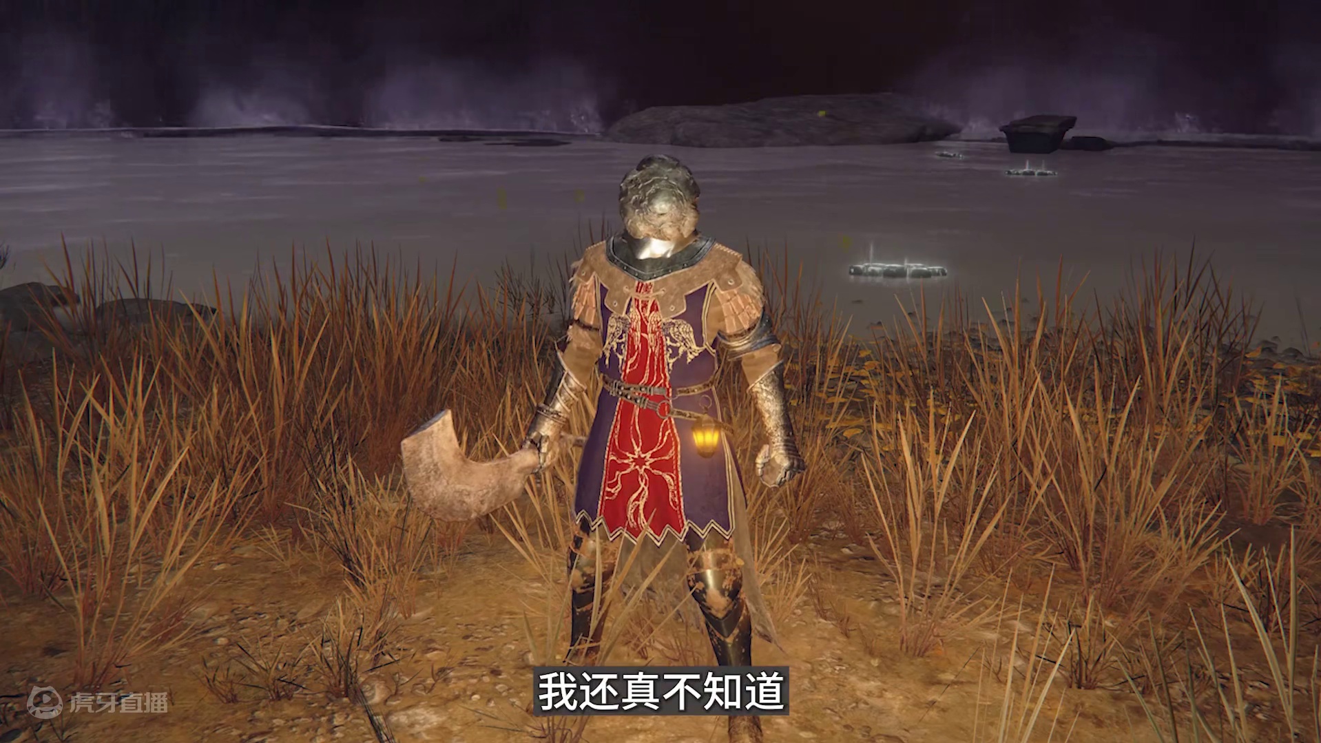 艾尔登法环：出门忘换衣服，捡了把柴刀砍到王城，现在是老登王 #steam游戏 #单机游戏 #艾尔登法