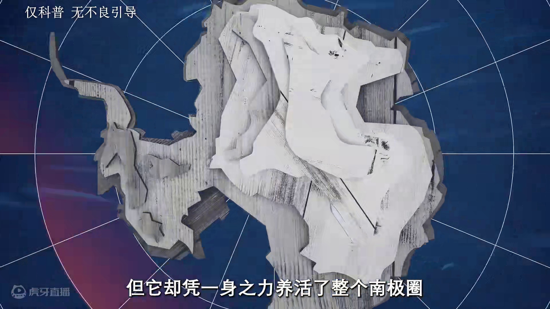 你知道磷虾是如何在南极捕捞的吗#磷虾 #南极 #科普 #涨知识  #￥海洋生物